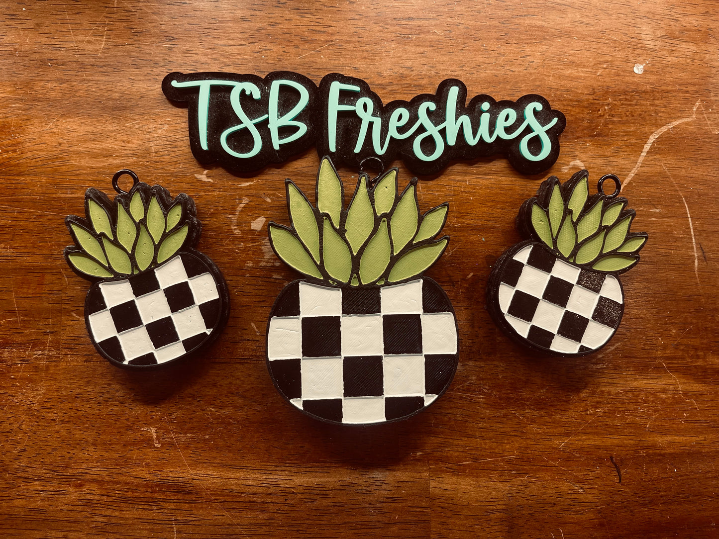 Checkered Succulent Vent Clips
