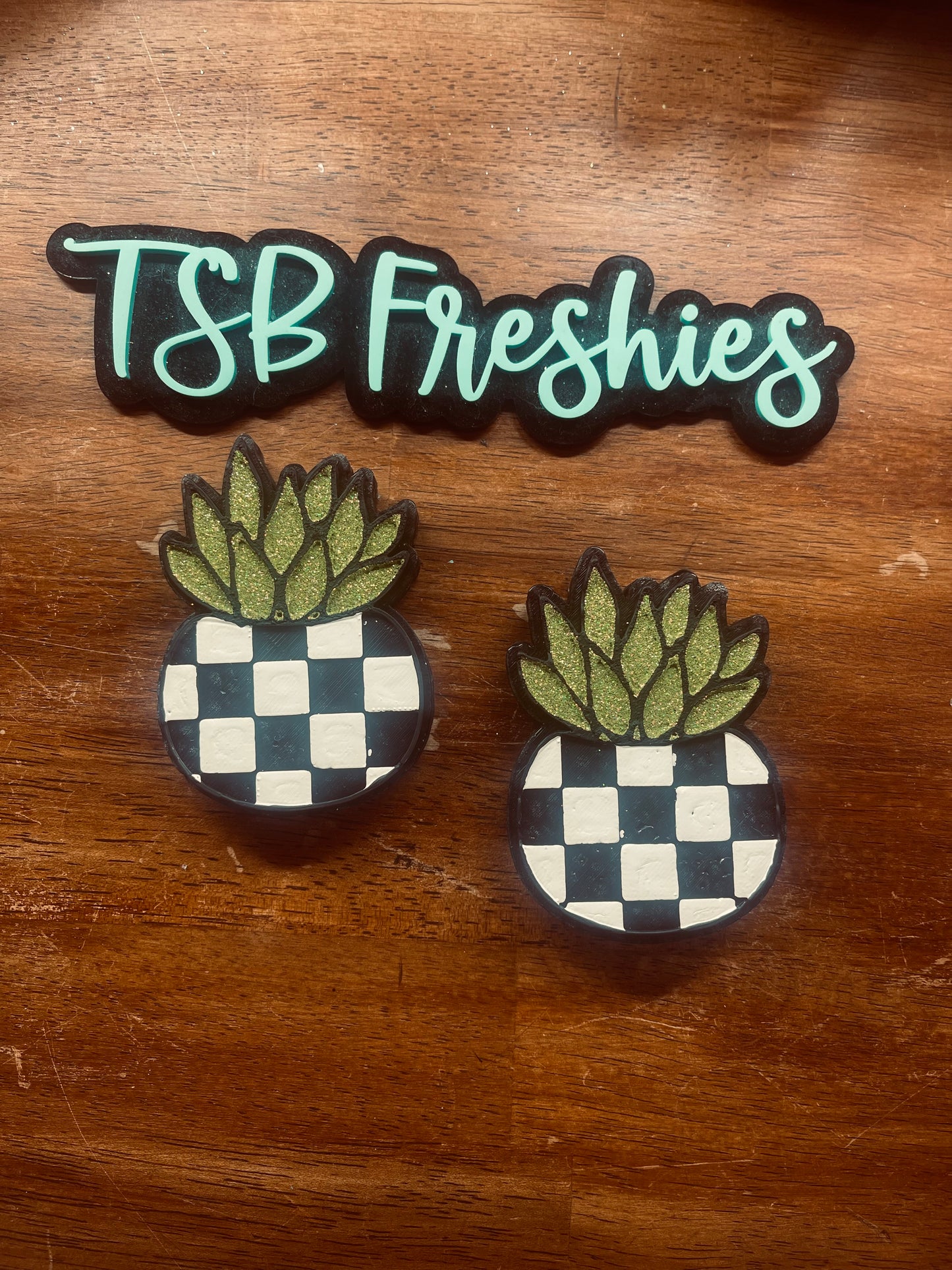 Checkered Succulent Vent Clips