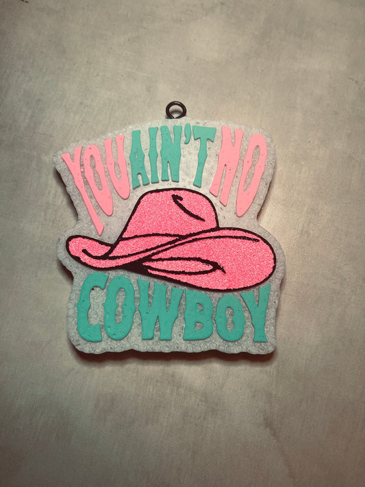 You Ain't No Cowboy